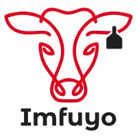 Imfuyo Financial Services logo - Similar company to Imfuyo