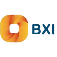 BXI Ventures logo - Similar company to Infoceleria Technologies
