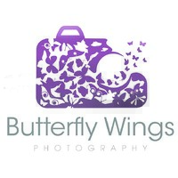 Butterfly Wings Photography