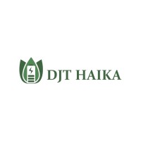 DJTHAIKA logo - Similar company to Hindustan Systems