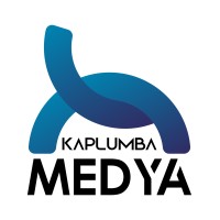 Kaplumba Medya logo - Similar company to New Soft