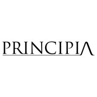 Principia Partners logo - Similar company to Epsilon Technologies Group