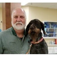 Dr. Fred Heidema- Veterinarian & Owner East Holland Veterinary Clinic logo - Similar company to Healthium Clinics