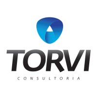 TORVI Consultoria logo - Similar company to Torvi Ingenieros