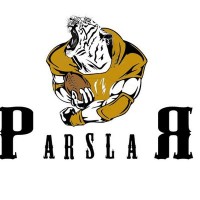 Selimiye Parslar logo - Similar company to Delice