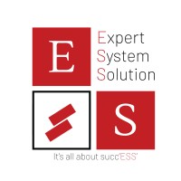 Expert System Solution logo - Similar company to Expert Solutions
