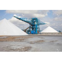 Zad Salt Industry logo - Similar company to Black Star Est