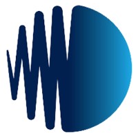 Digital Wave logo - Similar company to Solutions Communications & Security Systems