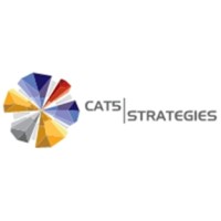 CAT 5 Strategies logo - Similar company to Dueringer Advisors Inc
