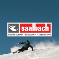 Bergbahnen Fieberbrunn Gesellschaft m.b.H. logo - Similar company to Conecto Gmbh