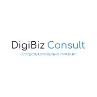 Digibiz Consult logo - Similar company to 1701 North