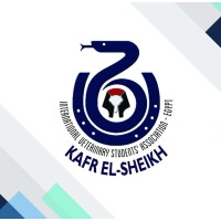 IVSA-KFS logo - Similar company to Ivsa Damanhour