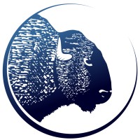 Blue Bison Web logo - Similar company to Blue Bison Software Solutions