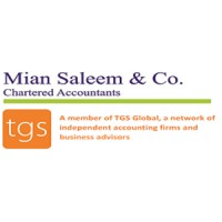 Mian Saleem & Co. Chartered Accountants logo - Similar company to Clarkson Hyde Global