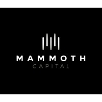 Mammoth Capital logo - Similar company to Amstudio