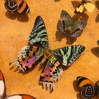 The Brightside: Museums logo - Similar company to Ai4Culture