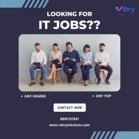 Drives4ITFresher logo - Similar company to Vibry Business Solution