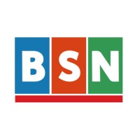 Blockchain-based Service Network (BSN) logo - Similar company to Red Date Technology