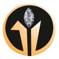 DwarkeshGems logo - Similar company to Jiva Crafts - An Initiative By B. Anand And Co