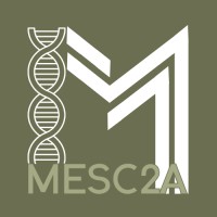 Master 2 MESC2A logo - Similar company to Master Msi Orléans