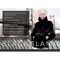 B B Hawk Furs logo - Similar company to 154I