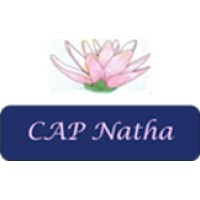 Cap Natha logo - Similar company to Teranis Opérateur Télécom
