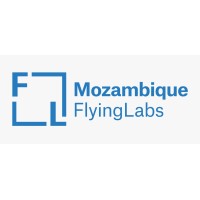 Mozambique Flying Labs logo - Similar company to 5M Drones