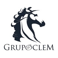 Grupo Oclem logo - Similar company to Alexcon Asociados