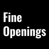 Fine Openings Window & Door Systems logo - Similar company to Windowcraft, Inc.