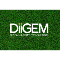 DiiGEM Sustainability Consulting logo - Similar company to Climate Transition Limited