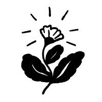 Evelyn logo - Similar company to Rowntree²