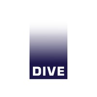 DIVE Realities logo - Similar company to Boatheadnft