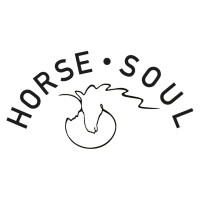 Horse Soul logo - Similar company to Gladiator Equine