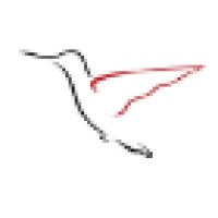 Elegant Solutions Design