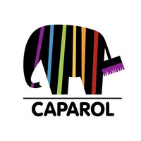 Caparol Georgia logo - Similar company to Caparol Uk