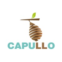 Capullo Art School logo - Similar company to Leantech Labs Pvt  Ltd