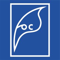 Focs Srl