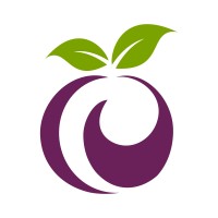 Plum Analytics logo - Similar company to Pine Analytics