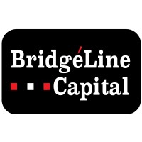 BridgeLine Capital logo - Similar company to Bridgeline Global Solutions