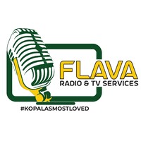Flava Radio & TV logo - Similar company to Cafe Flava