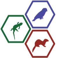 Evergreen Avian And Exotic Animal Hospital Llc