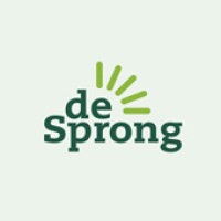 De Sprong vzw. logo - Similar company to Arbeidskansen Vzw