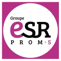 Groupe ESR PROM-S logo - Similar company to Logi-C