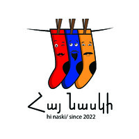 hi naski logo - Similar company to White Socks Designers Llc