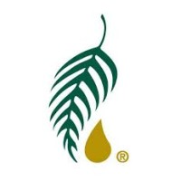 Healthy Solutions logo - Similar company to Kr8