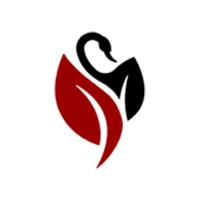 BlackSwan Cyber Group logo - Similar company to Saskcybersecurity