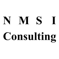 NMSI Consulting logo - Similar company to Nmsi