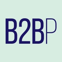B2B Practitioners logo - Similar company to Gamoshi