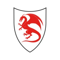 Autoscuole Draivo logo - Similar company to Starline Srl