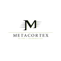 Metacortex logo - Similar company to Metacortex